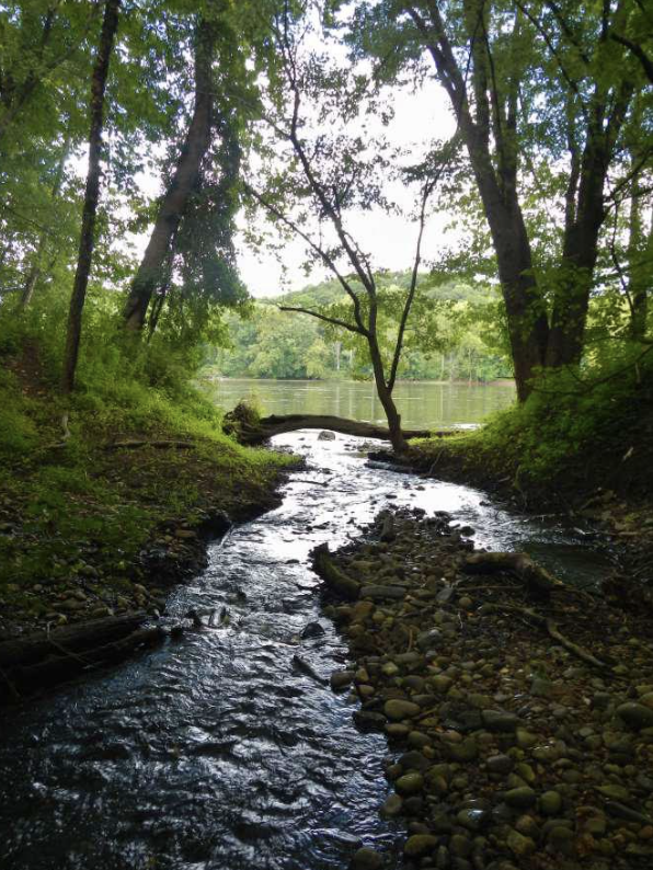 Featured image for “Happy to Be Here: A watershed success story”